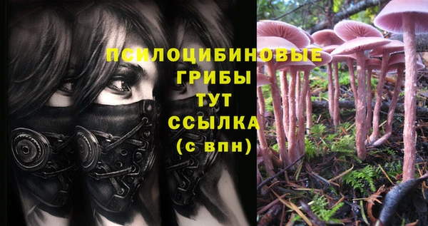 a pvp Медногорск