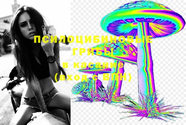 мескалин Медвежьегорск