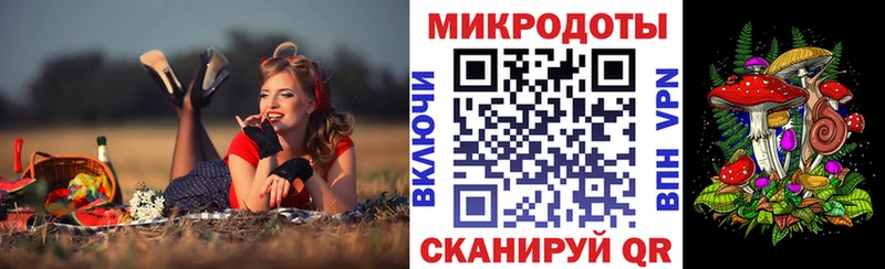 где купить Юрьевец Галлюциногенные грибы Psilocybine cubensis